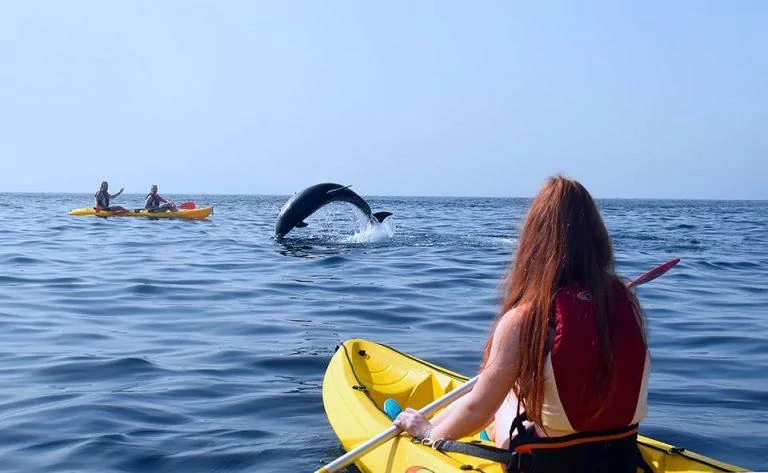 קייאקים עם דולפינים בטנריף