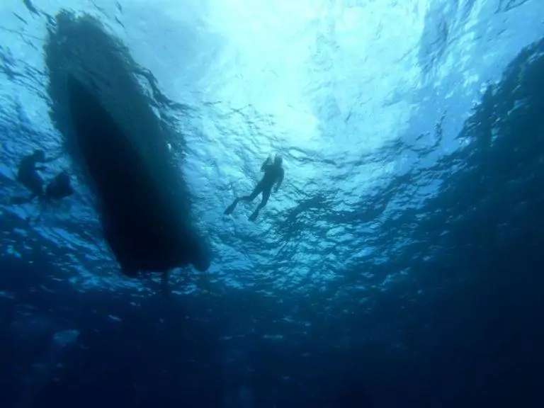 Tenerife: Underwater Lava Tongues Snorkel Excursion